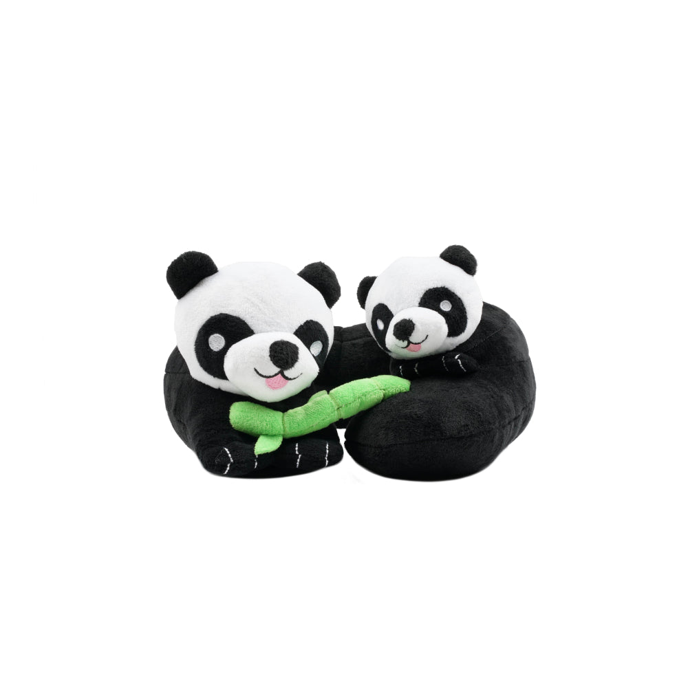 Kids Evolution Pandas