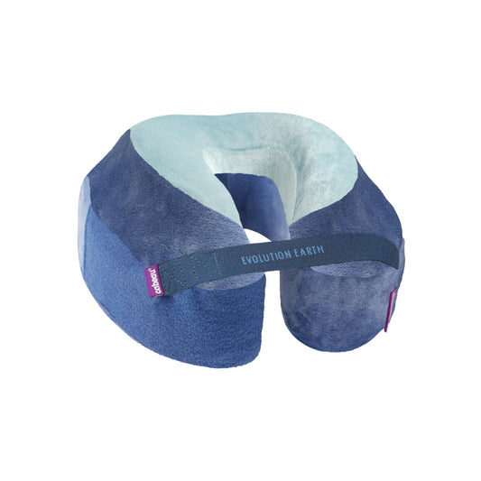 Evolution Earth Pillow